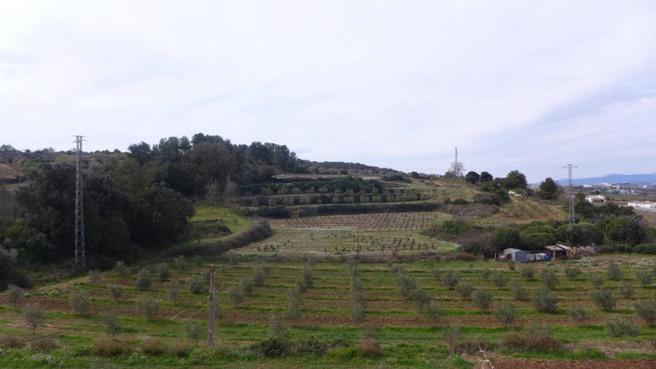 Agroturisme Cal Jeroni Avinyonet del Penedès Kültér fotó