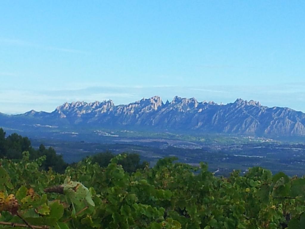 Agroturisme Cal Jeroni Avinyonet del Penedès Kültér fotó